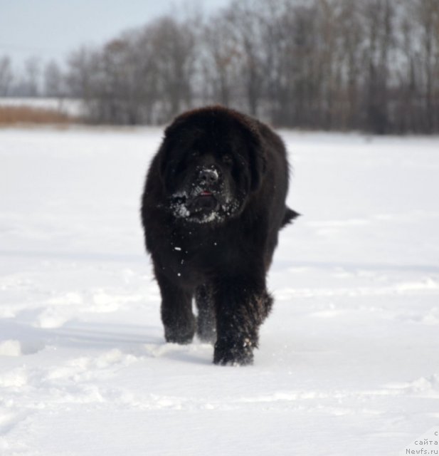 Фотография № 89436