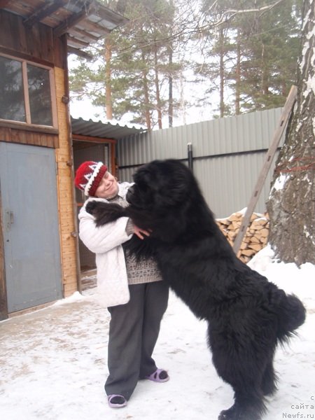 Фотография № 89453