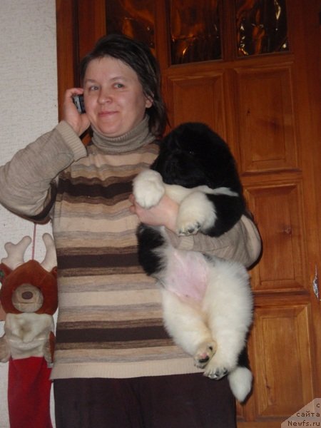 Фотография № 89456