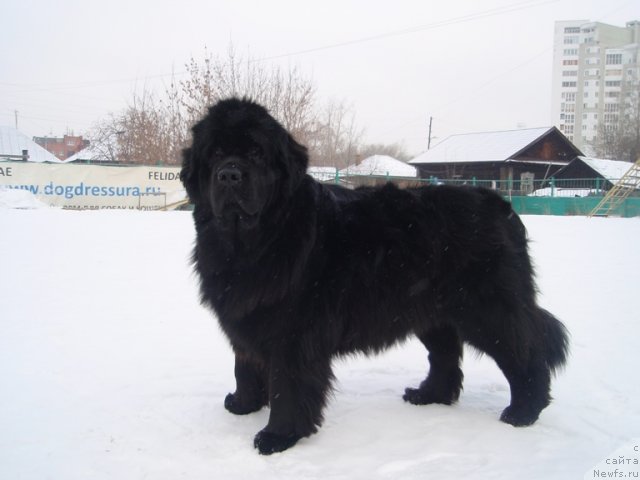 Фотография № 89469