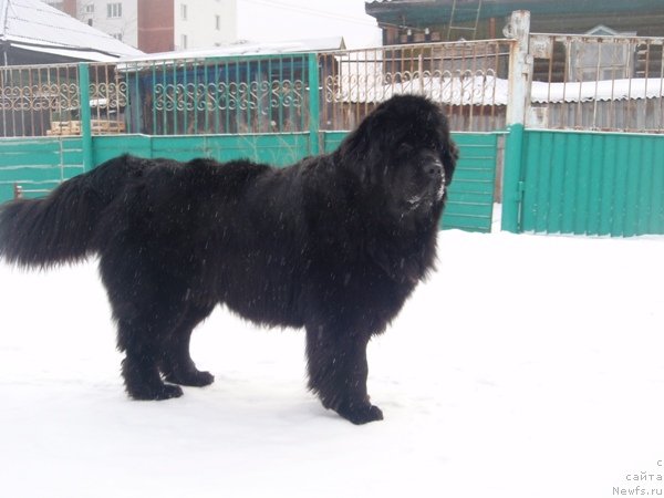 Фотография № 89470