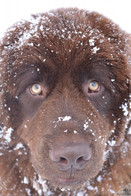 Фото: Nataliya Pashkina (Наталия Пашкина)