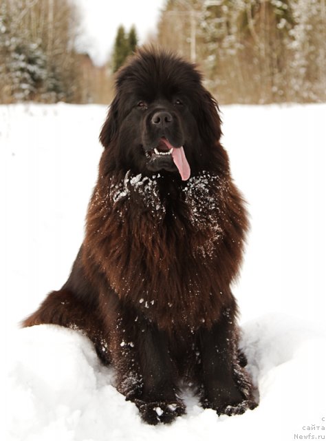 Фотография № 89577