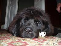 Фото: Грише 7, 5 месяцев