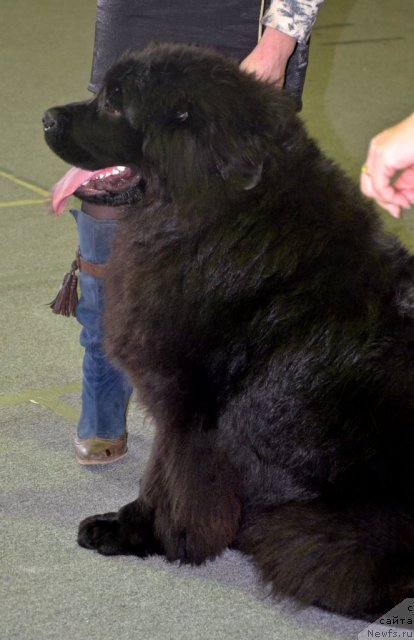 Фотография № 89605