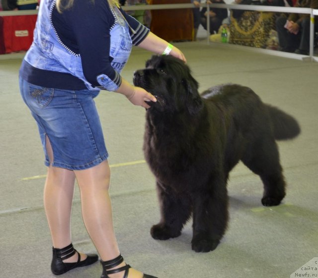 Фотография № 89611