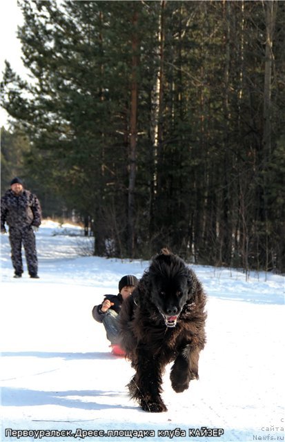 Фотография № 89612