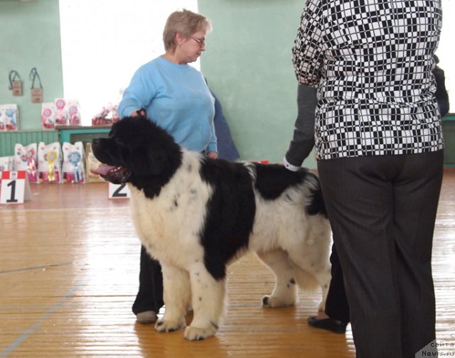 Фотография № 89660