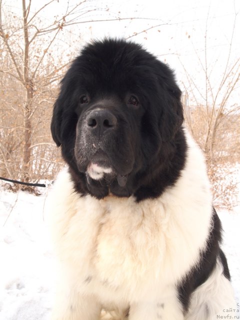 Фотография № 89664