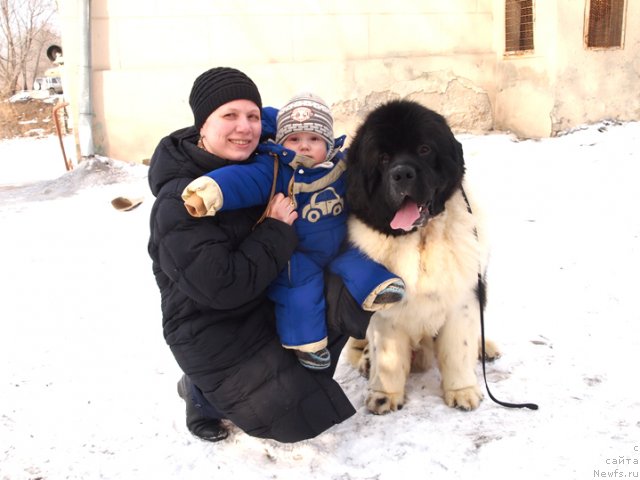 Фотография № 89665