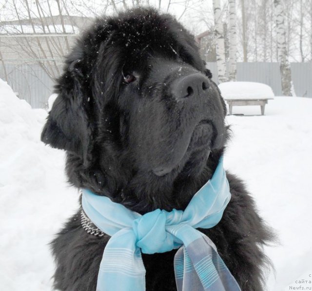 Фотография № 89669