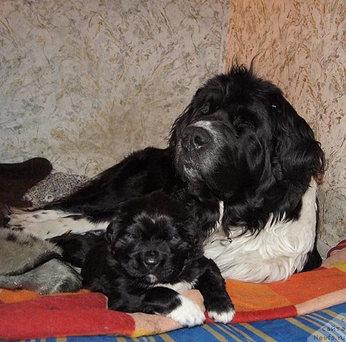 Фотография № 89676