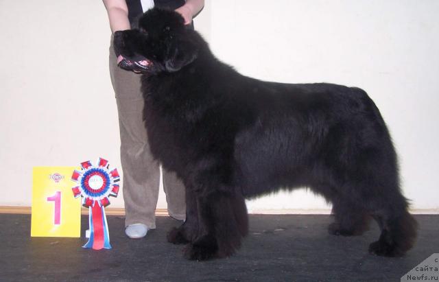 Фотография № 8969