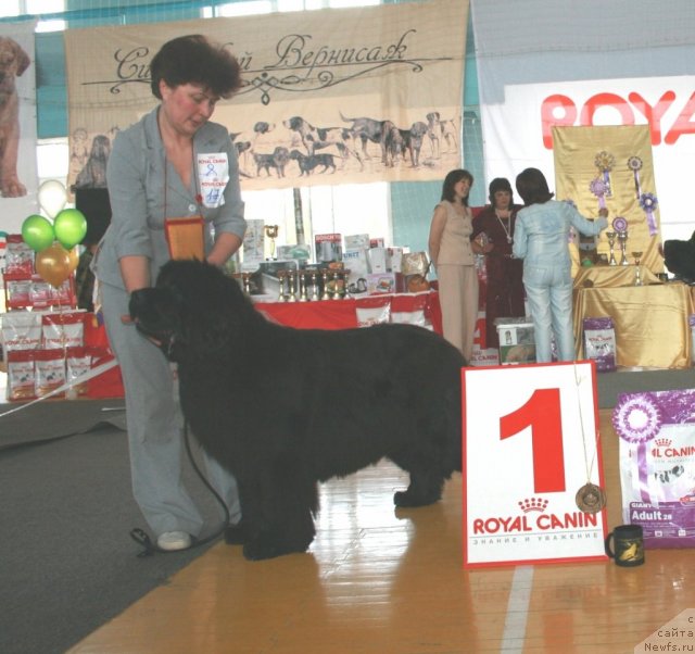 Фотография № 89695