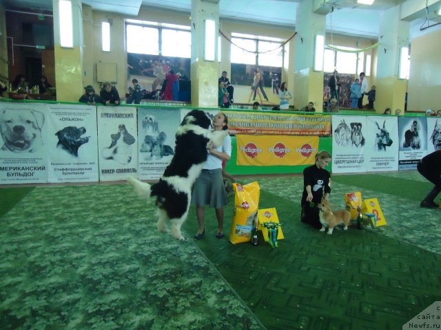 Фотография № 89704