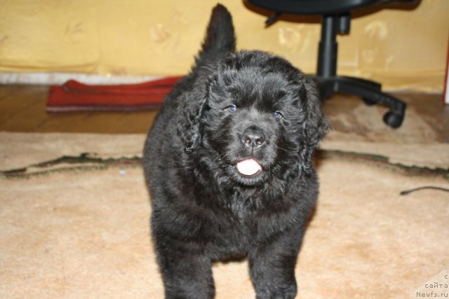 Фото: Anna Rogova (Анна Рогова)