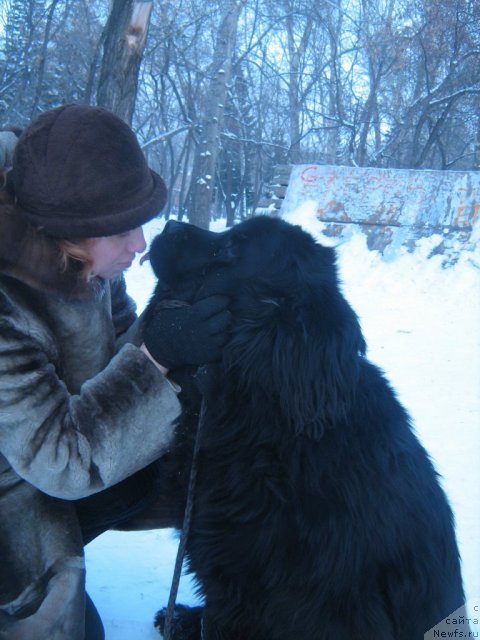 Фотография № 89751