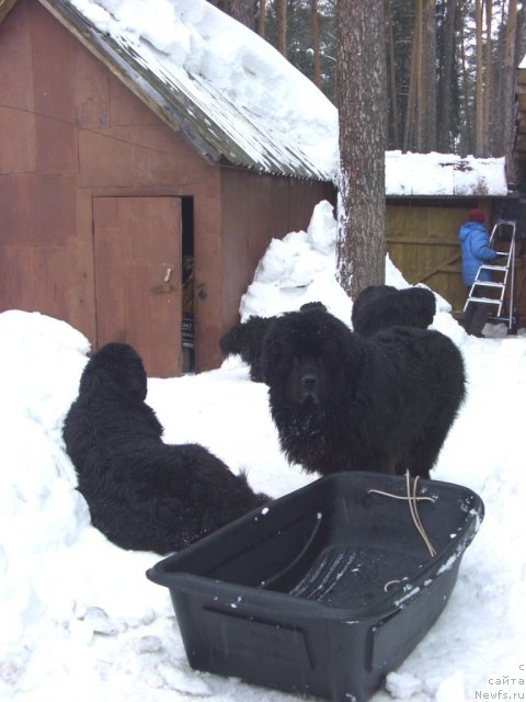 Фотография № 89779