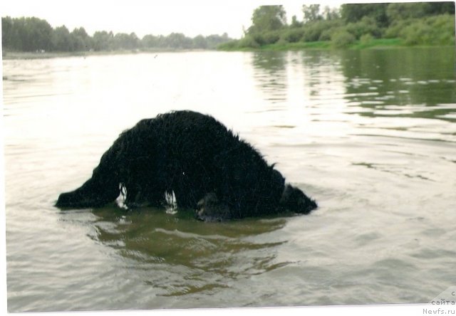 Фотография № 89781