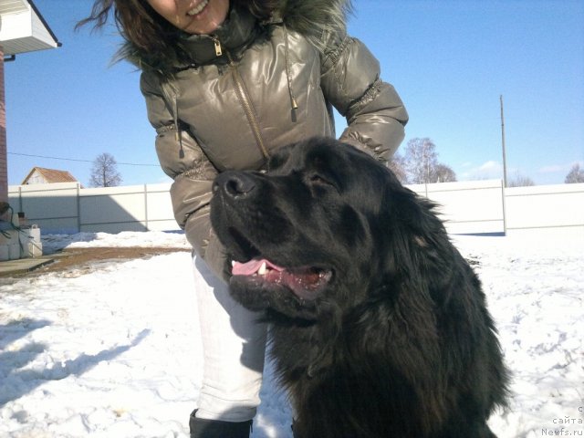 Фото: Улирих фон Рихтенштайн