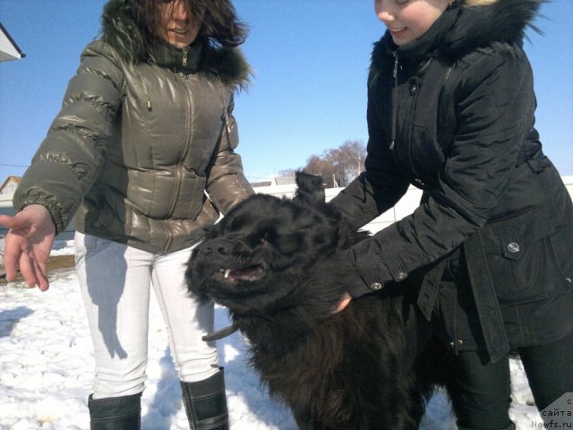 Фото: Улирих фон Рихтенштайн