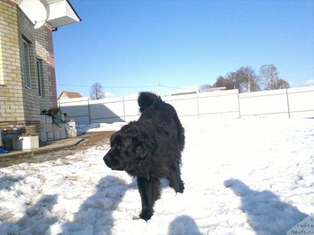 Фото: Улирих фон Рихтенштайн