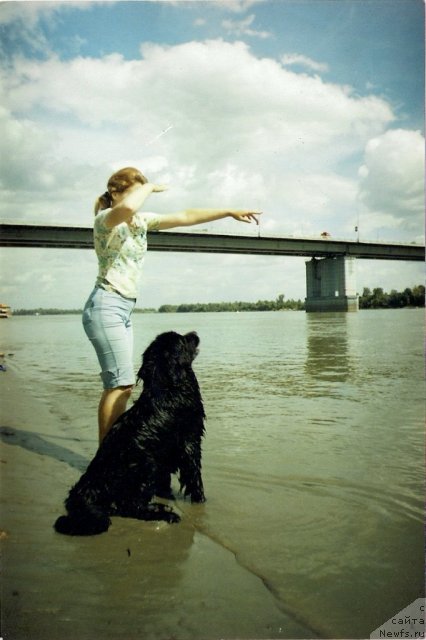 Фотография № 89795