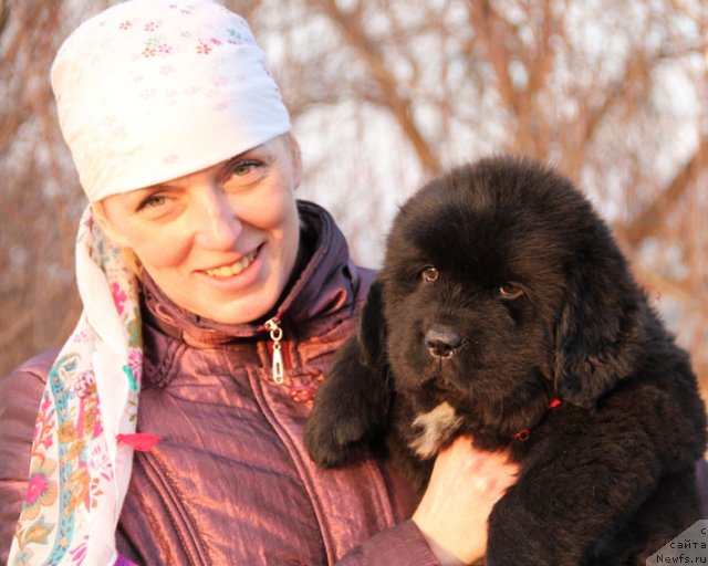 Фото: Elena Kirpa (Елена Кирпа), ньюфаундленд Charuyuschiy Chezario (Чарующий Чезарио)