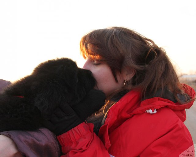 Фотография № 89804