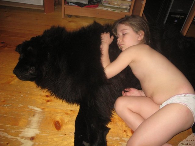 Фото: ньюфаундленд Aleksandriya Moya Radost' (Александрия Моя Радость), Наташа