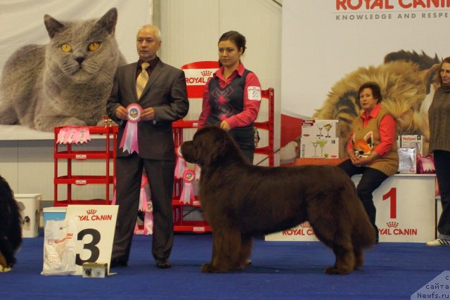 Фотография № 89821