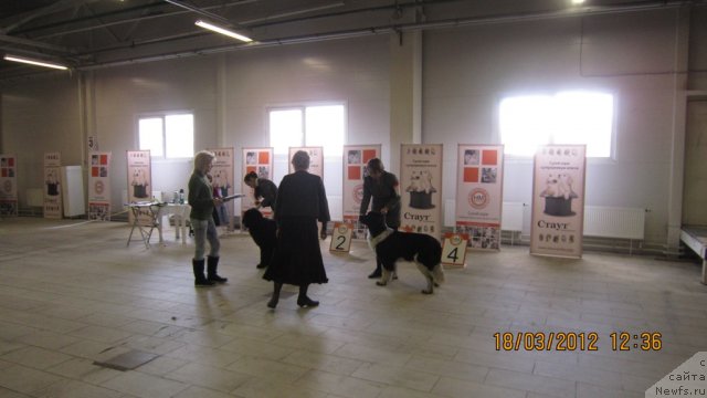 Фотография № 89843