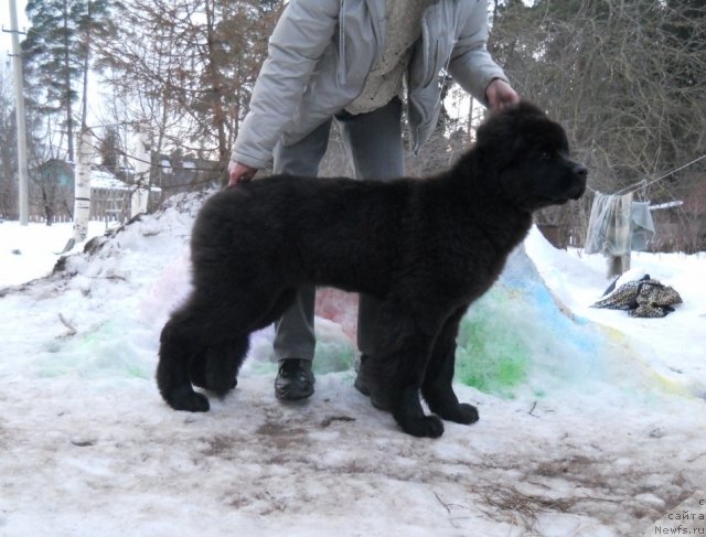 Фотография № 89844