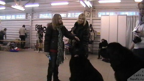 Фотография № 89893