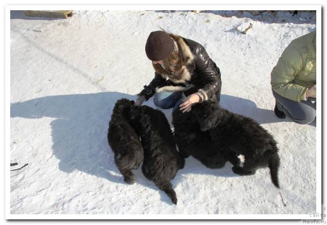 Фотография № 90018