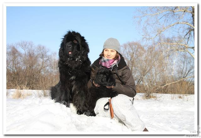 Фотография № 90023