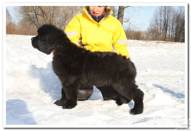 Фотография № 90024