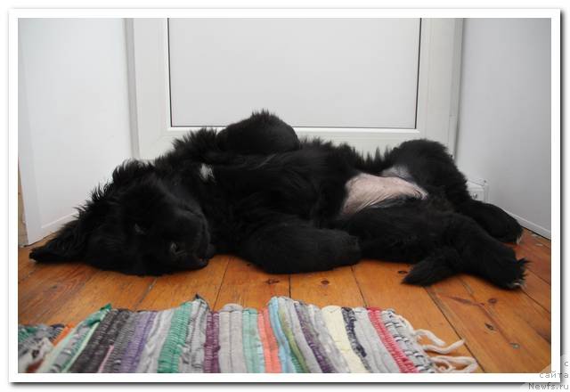 Фотография № 90033