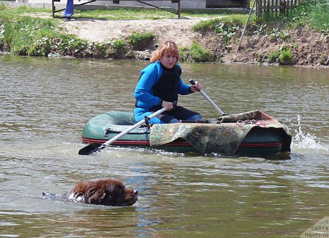 Фотография № 90174