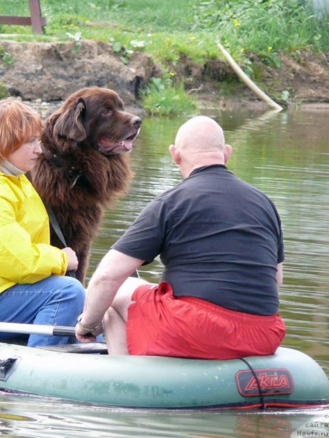 Фотография № 90177