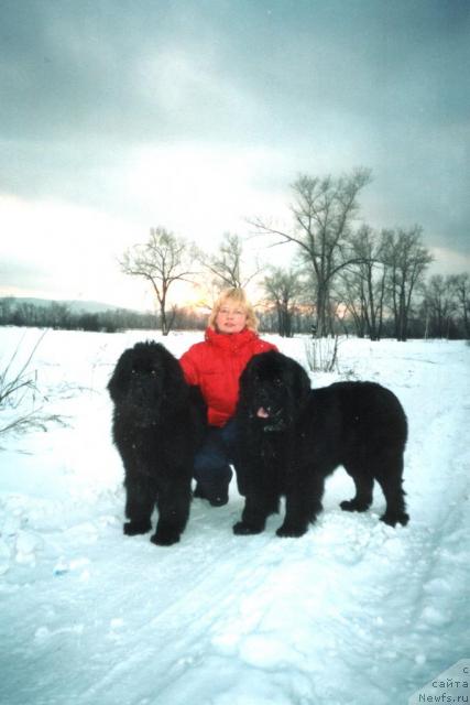 Фото: ньюфаундленд Yuzhny Sharm iz Medvejyego Yara (Южный Шарм из Медвежьего Яра), ньюфаундленд Tsarevich Slavny iz Medvejyego Yara (Царевич Славный из Медвежьего Яра), Svetlana Prihod'ko (Светлана Приходько)