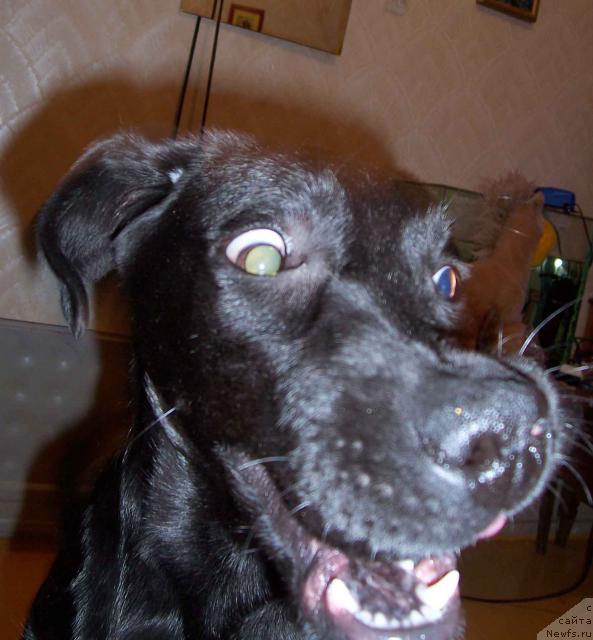 Фотография № 9023