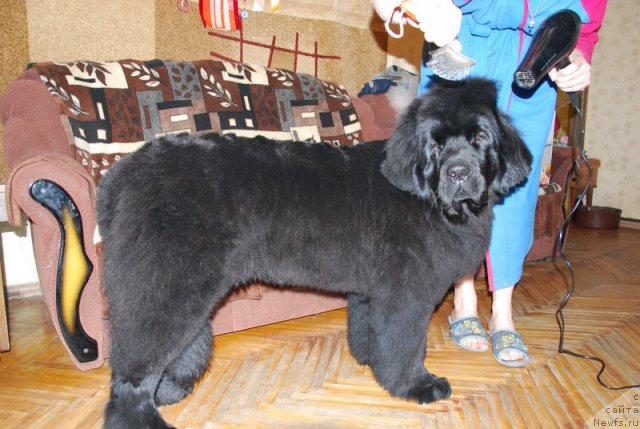 Фотография № 90248