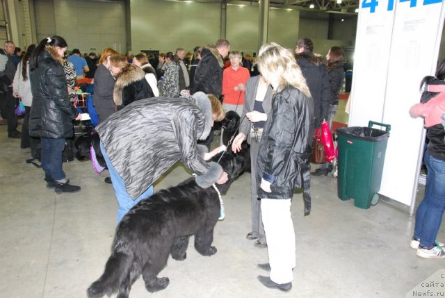 Фотография № 90249