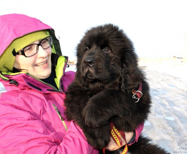 Фото: Elena Gricenko (Елена Гриценко), WALKING UNDER STARLIGHT  NUO OZO KALVU