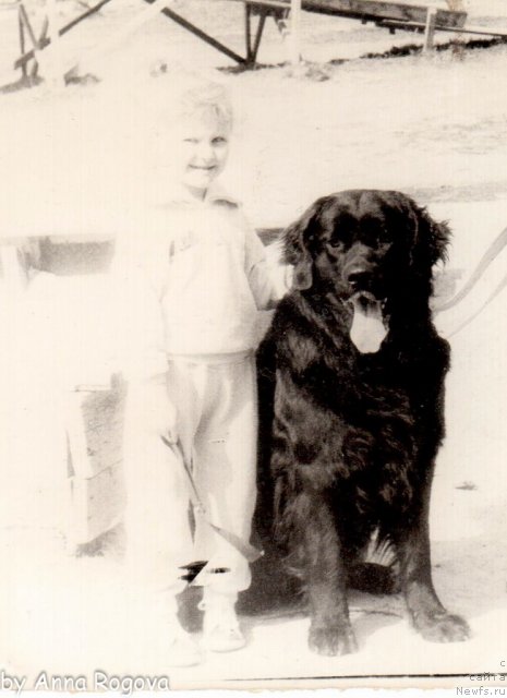 Фото: Anna Rogova (Анна Рогова)