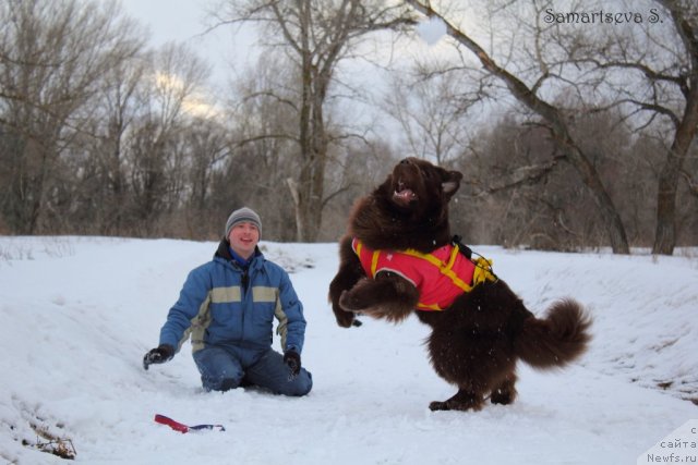 Фотография № 90400