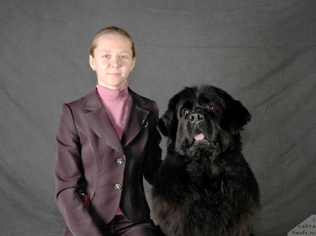 Фото: Tat'yana Rozanova (Татьяна Розанова), ньюфаундленд CHansi iz Zolotogo Treugol'nika (Чанси из Золотого Треугольника)