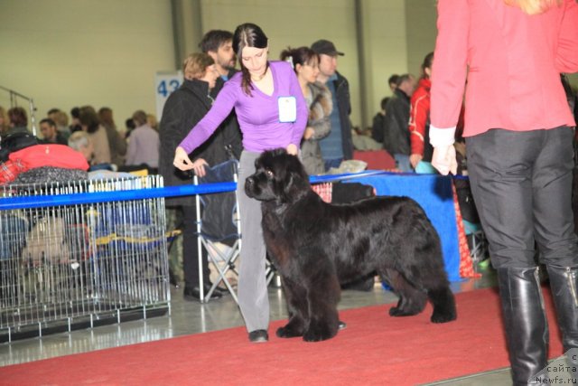 Фотография № 90437