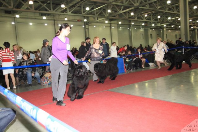 Фотография № 90439